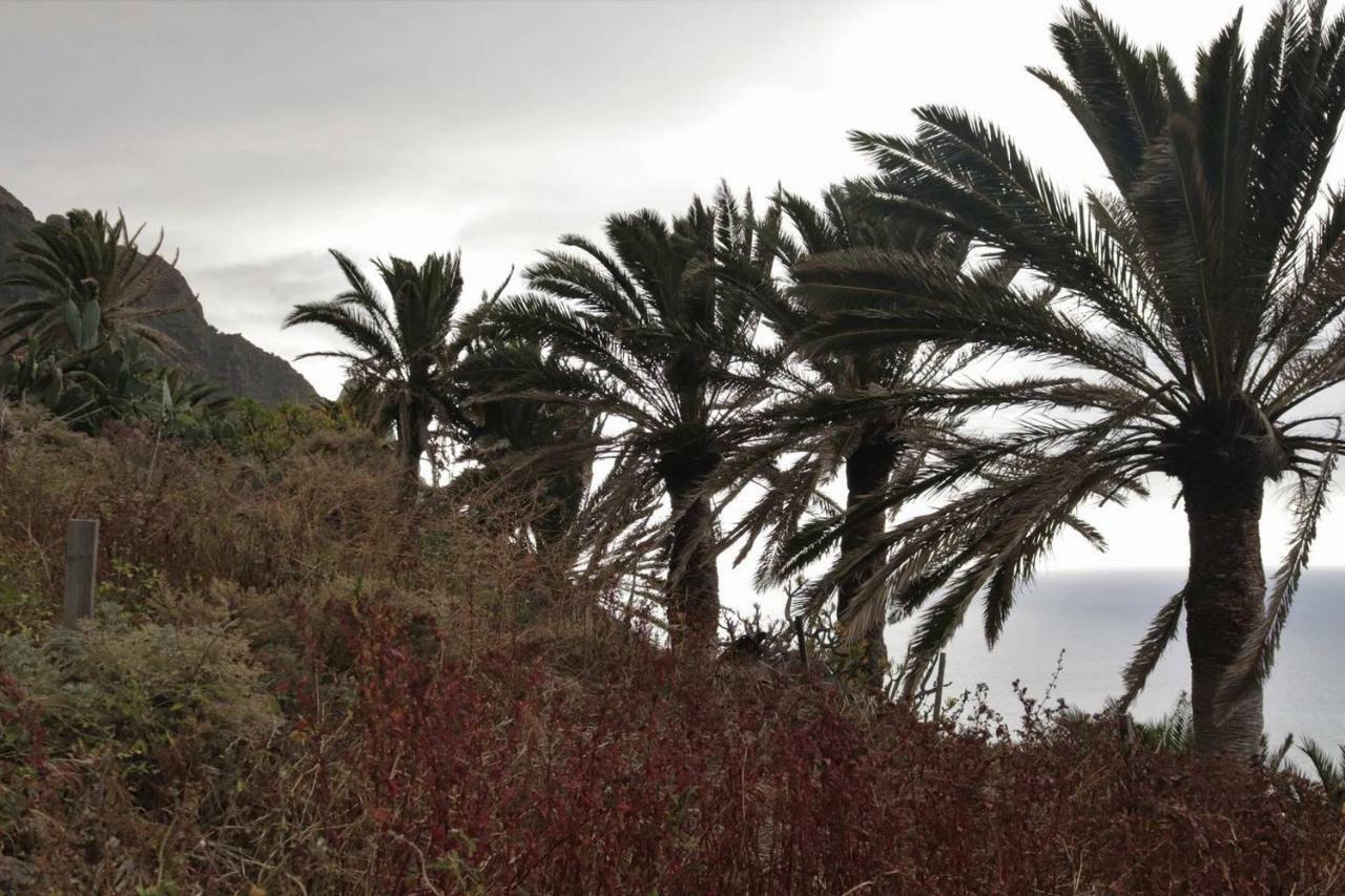 Oasis Atlantico: Rincon Secreto Al Pie De Los Senderos Azano المظهر الخارجي الصورة