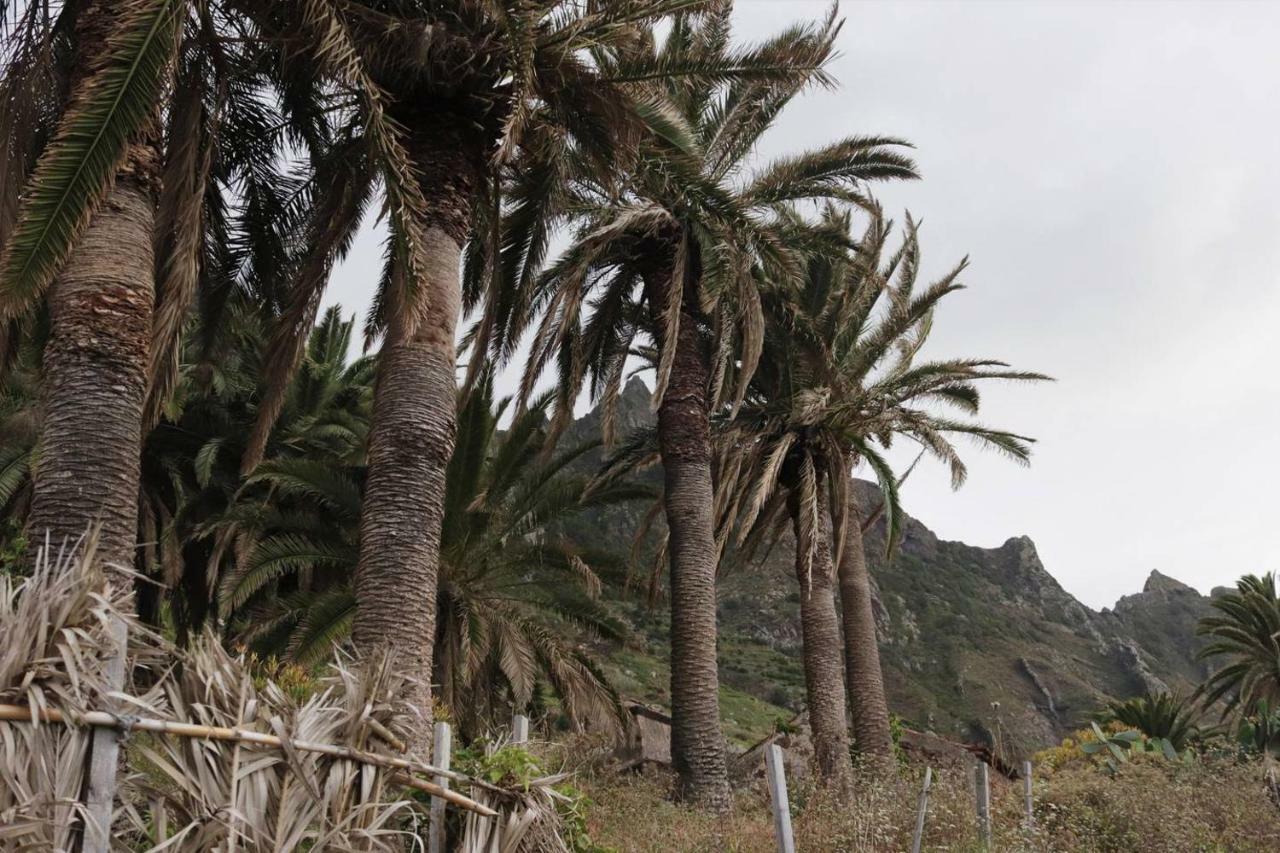 Oasis Atlantico: Rincon Secreto Al Pie De Los Senderos Azano المظهر الخارجي الصورة